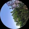 julskies92